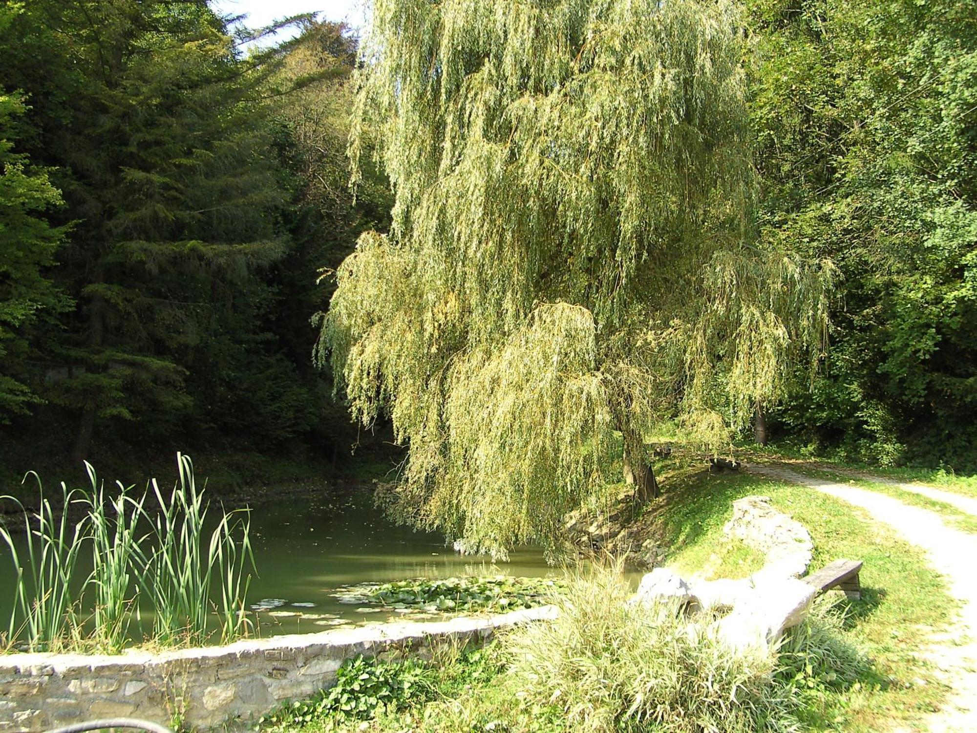Vila Silva Marija Apartments Pišece Exteriör bild