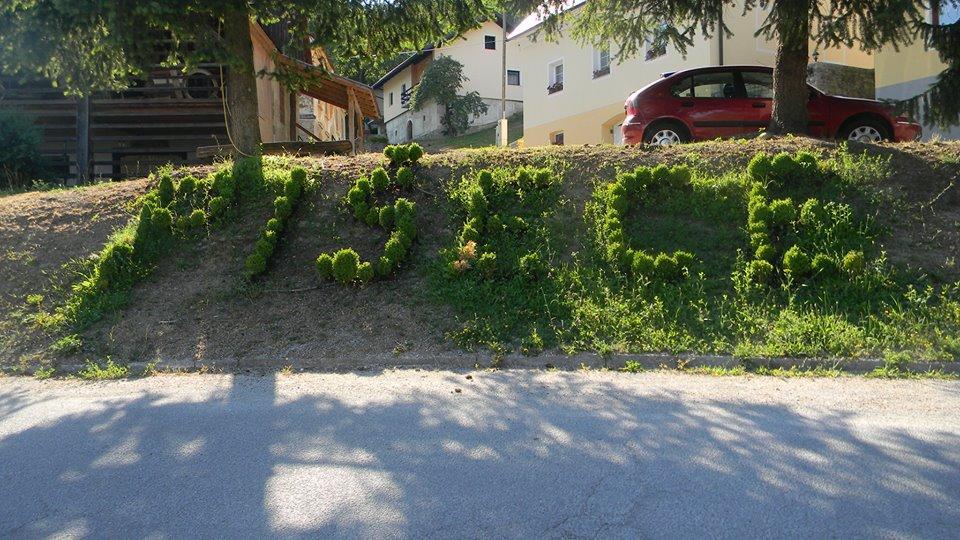Vila Silva Marija Apartments Pišece Exteriör bild
